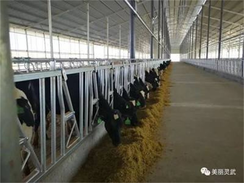 breeding factory - 天津格润科农科技股份有限公司