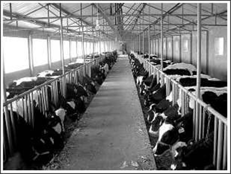 breeding factory - 天津格润科农科技股份有限公司